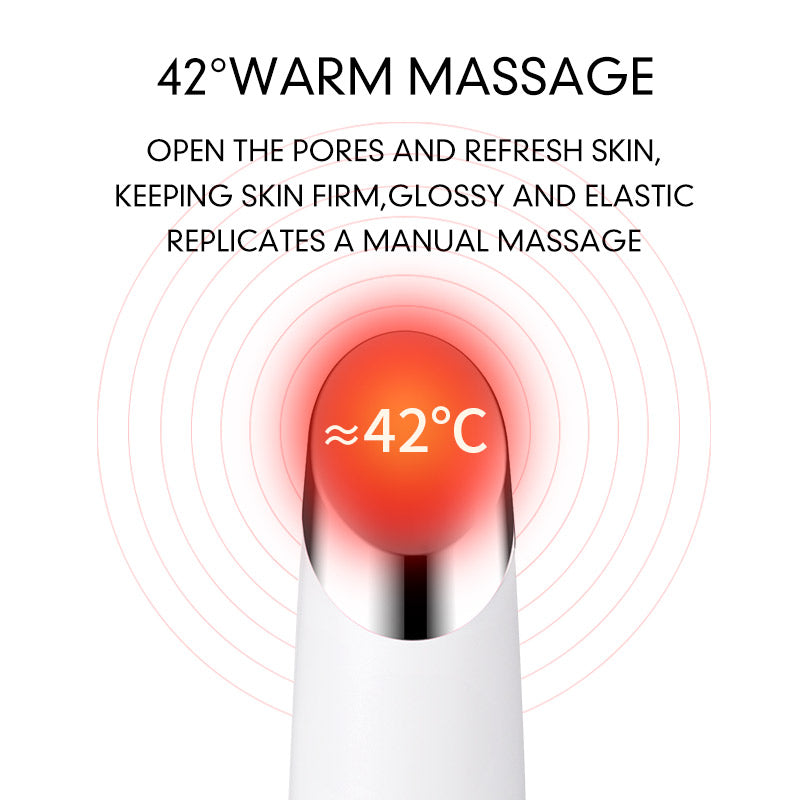 NeoSkin ZL-S1509 Ionic Heated Facial Massager