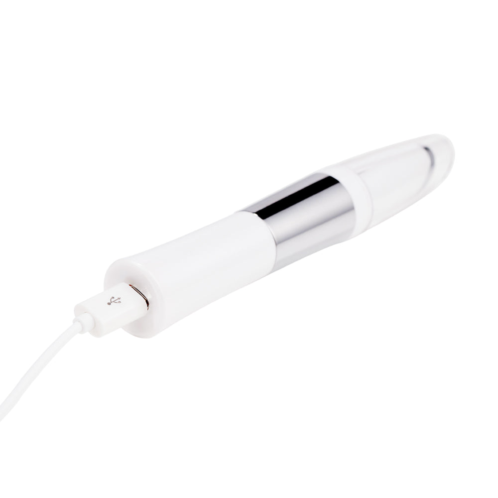 NeoSkin ZL-S1509 Ionic Heated Facial Massager